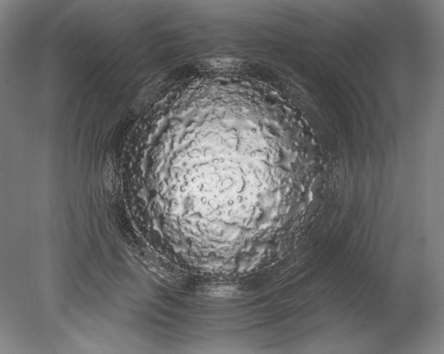 X0000080730651200701021121