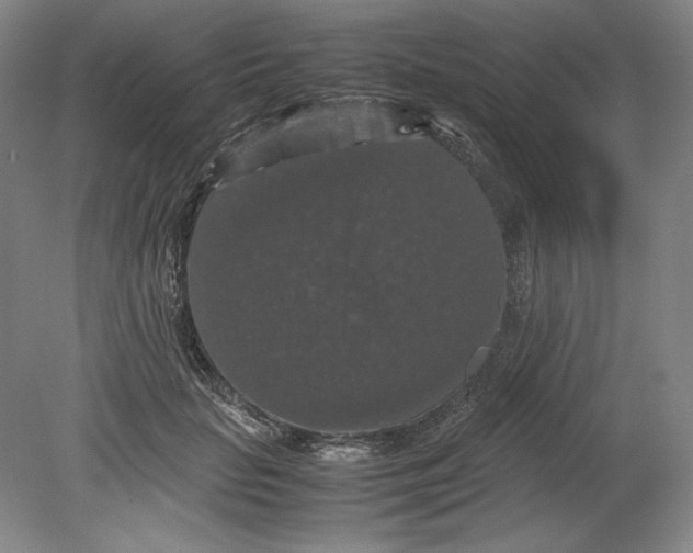 X0000080730653200701021121