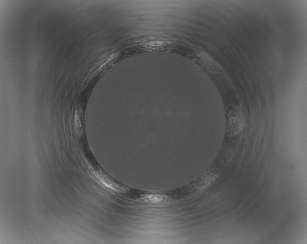 X0000080730654200701021121