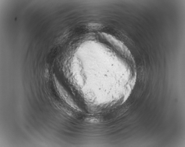 X0000080730655200701021121