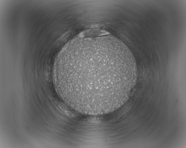 X0000080730656200701021121