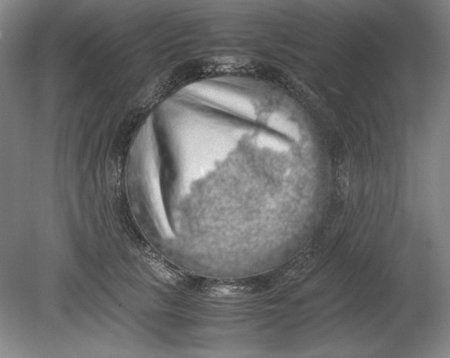 X0000080730657200701021121