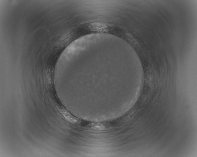 X0000080730658200701021121