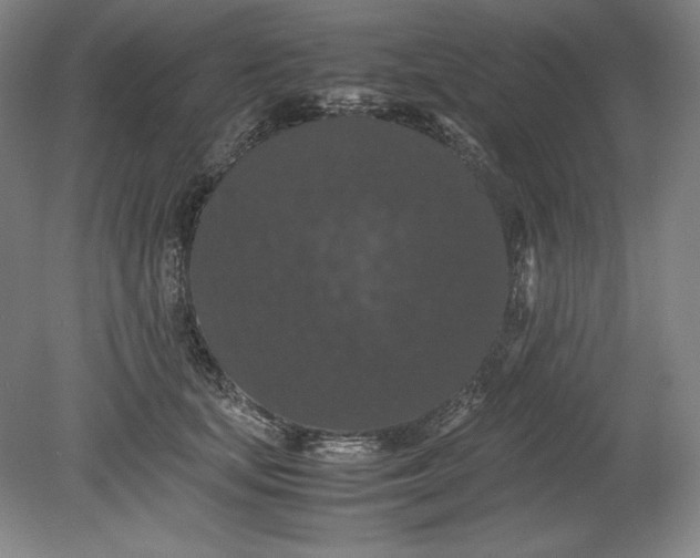 X0000080730659200701021121