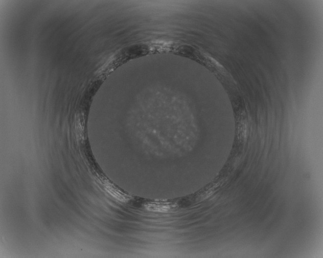 X0000080730661200701021121