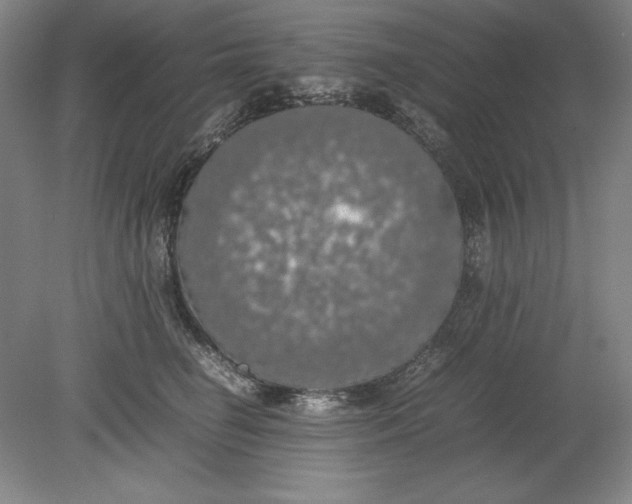 X0000080730662200701021121