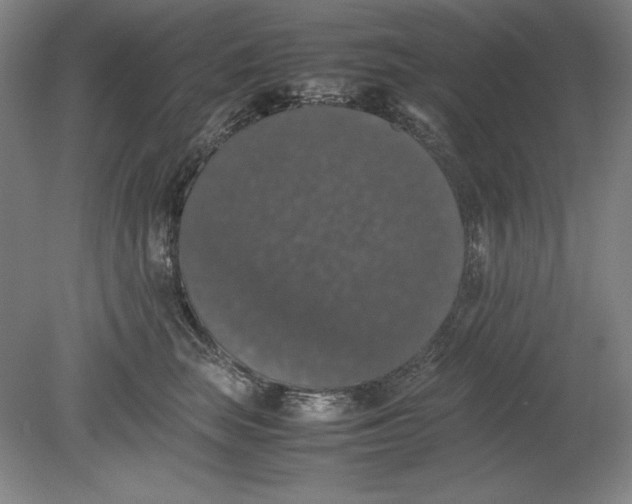 X0000080730663200701021121