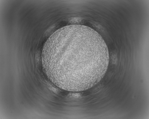 X0000080730665200701021121