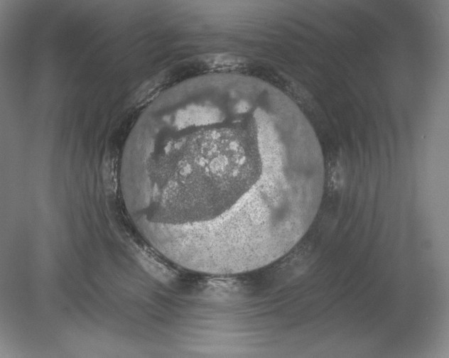 X0000080730666200701021121