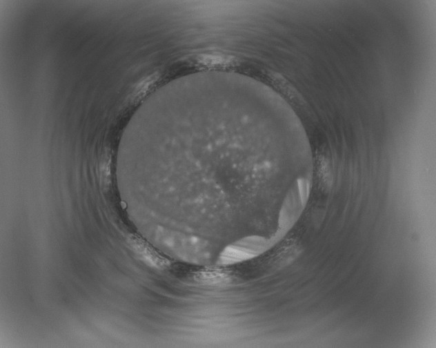 X0000080730668200701021121