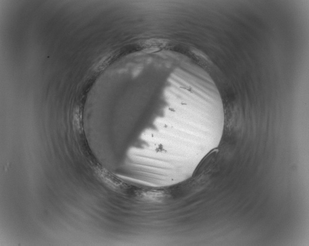 X0000080730669200701021121