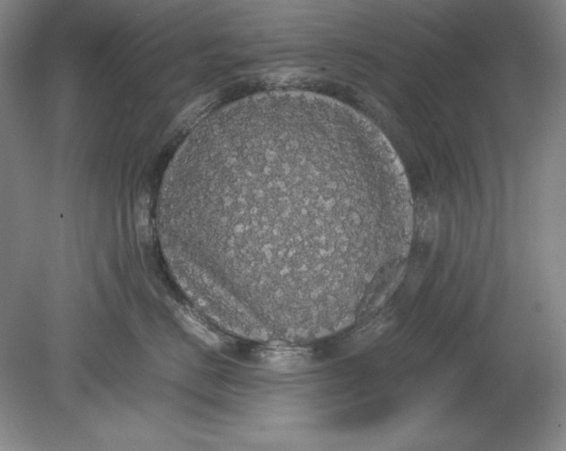 X0000080730670200701021121