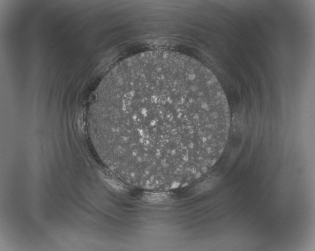 X0000080730671200701021121