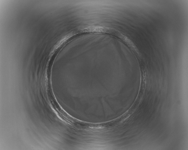 X0000080730674200701021121