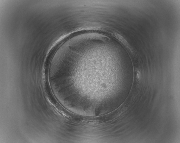 X0000080730676200701021121