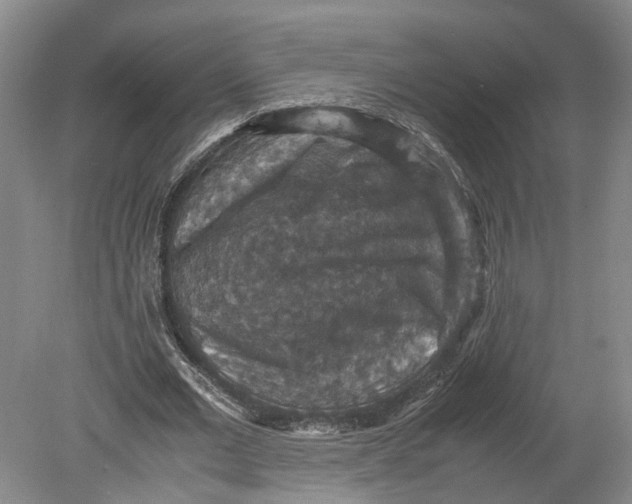 X0000080730677200701021121