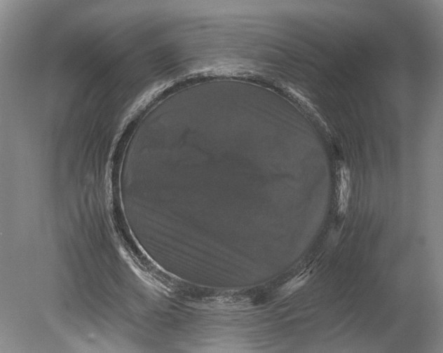 X0000080730678200701021121