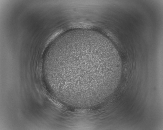 X0000080730679200701021120