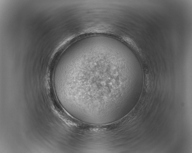 X0000080730680200701021120