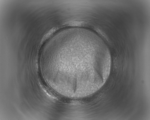 X0000080730682200701021120