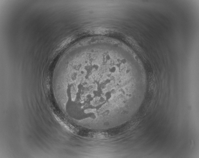 X0000080730683200701021120