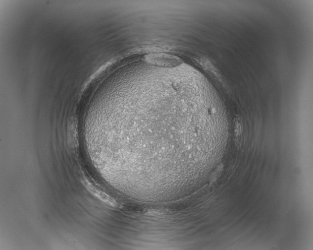 X0000080730684200701021120