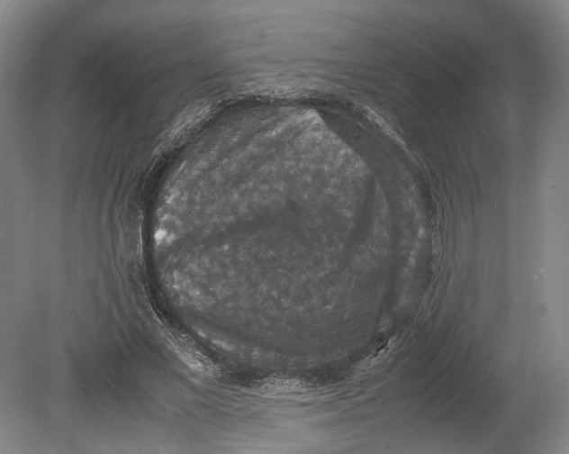 X0000080730685200701021120