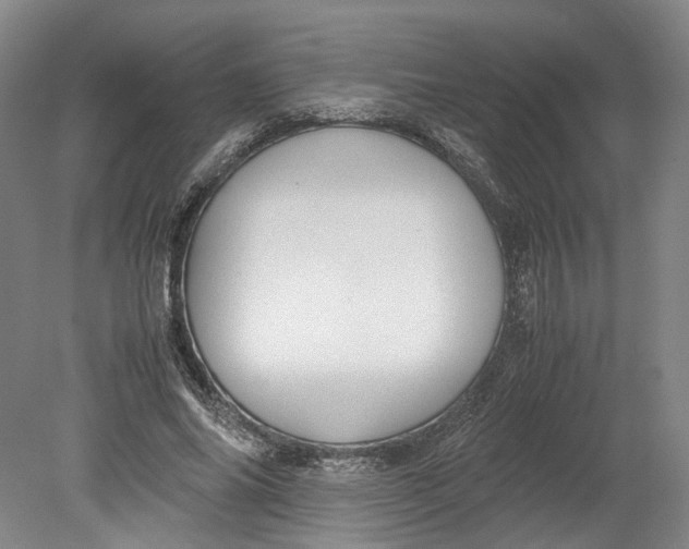 X0000080730686200701021120