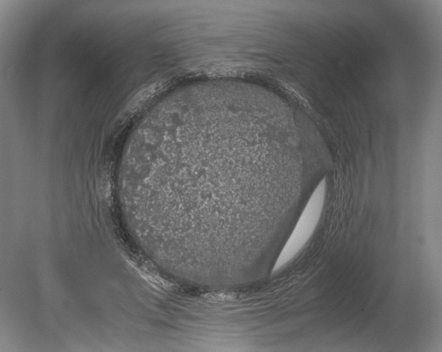 X0000080730687200701021120