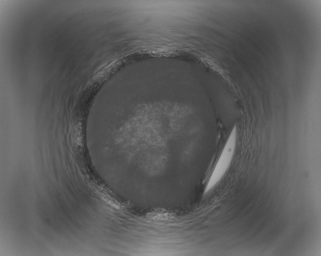 X0000080730689200701021120