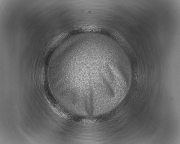 X0000080730690200701021120