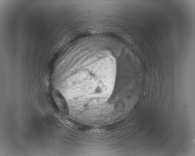 X0000080730691200701021120