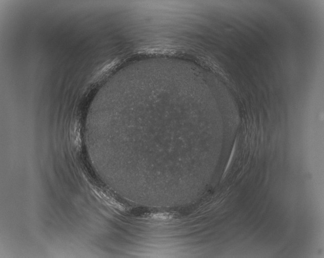 X0000080730692200701021120