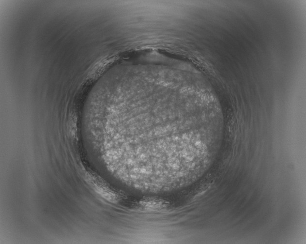 X0000080730693200701021120