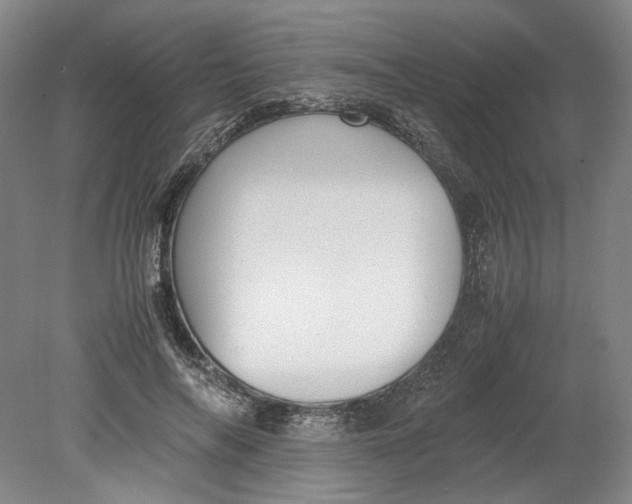 X0000080730694200701021120