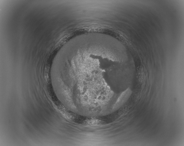 X0000080730695200701021120