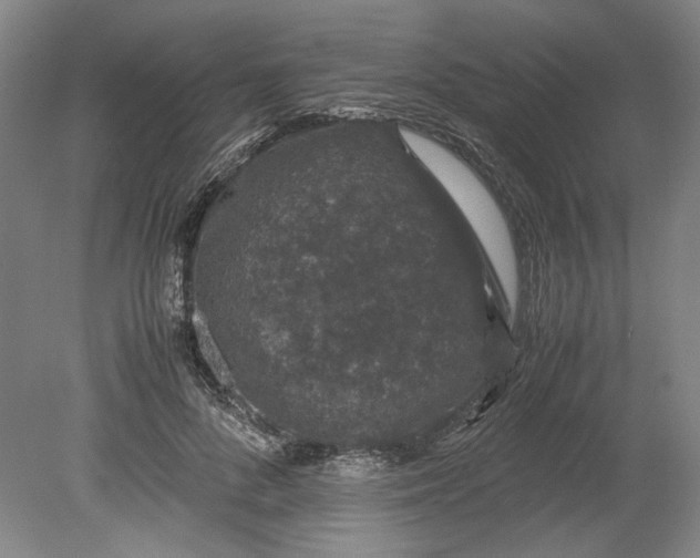 X0000080730696200701021120