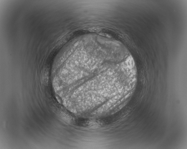 X0000080730697200701021120