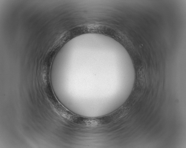 X0000080730698200701021120