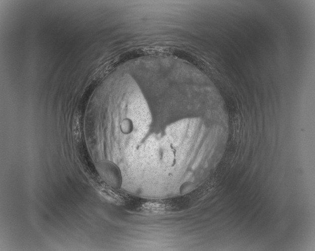 X0000080730699200701021120