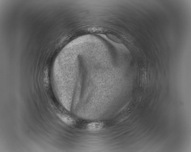 X0000080730700200701021120