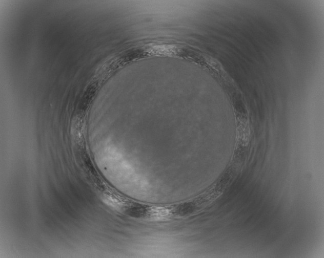 X0000080730701200701021120