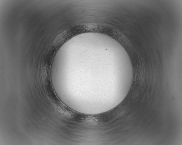 X0000080730702200701021120