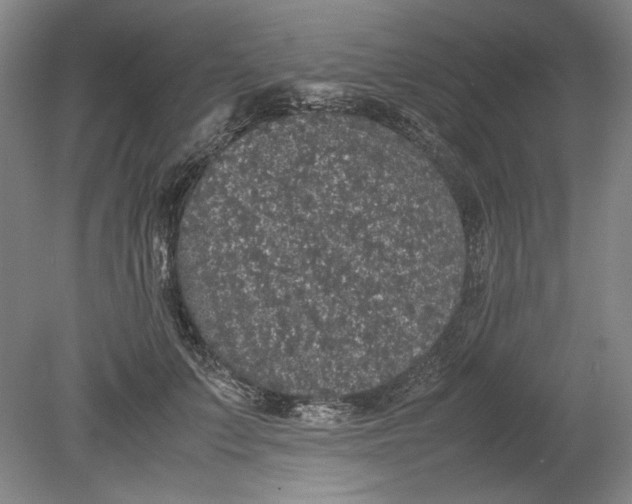 X0000080730703200701021120