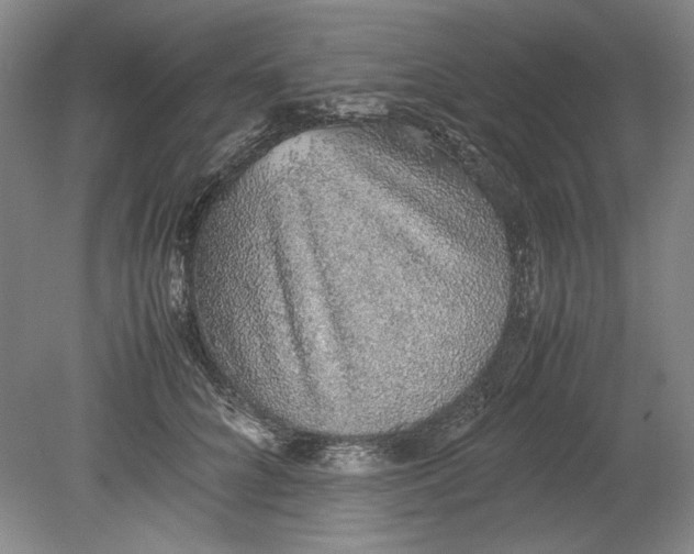 X0000080730704200701021120