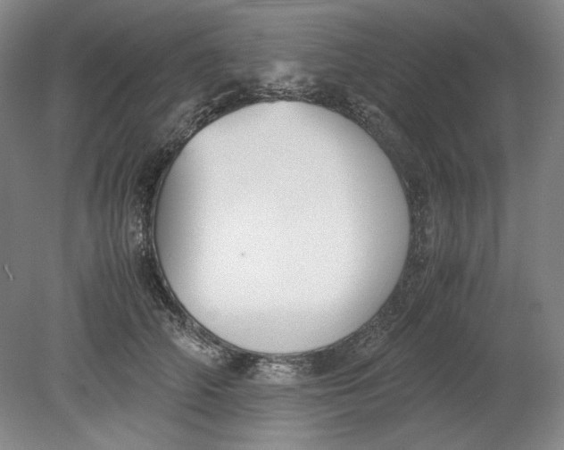 X0000080730706200701021120