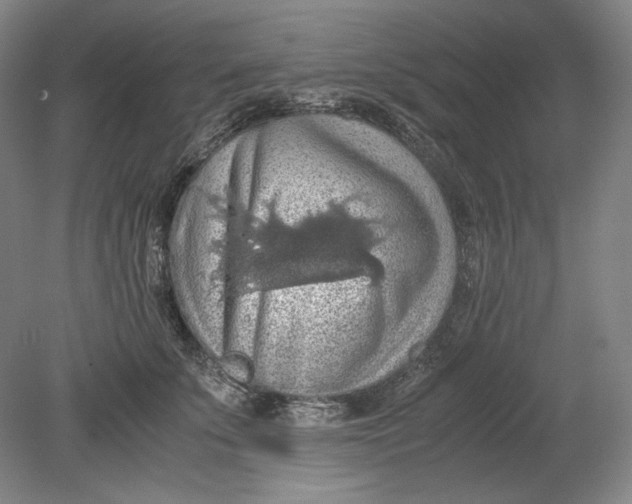 X0000080730707200701021120