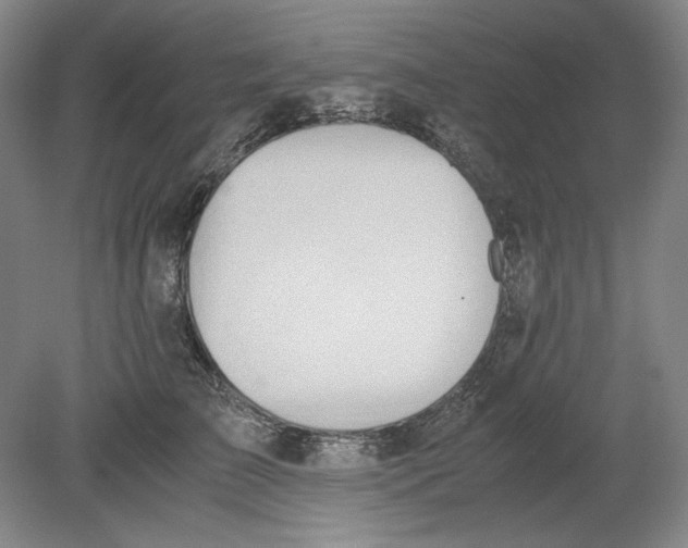 X0000080730709200701021120