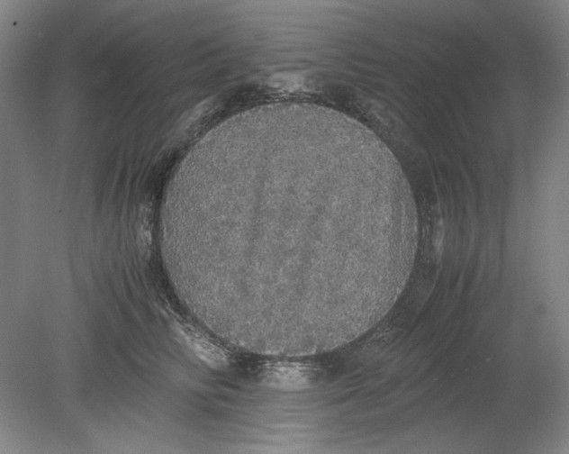 X0000080730710200701021120