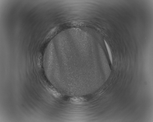 X0000080730712200701021120